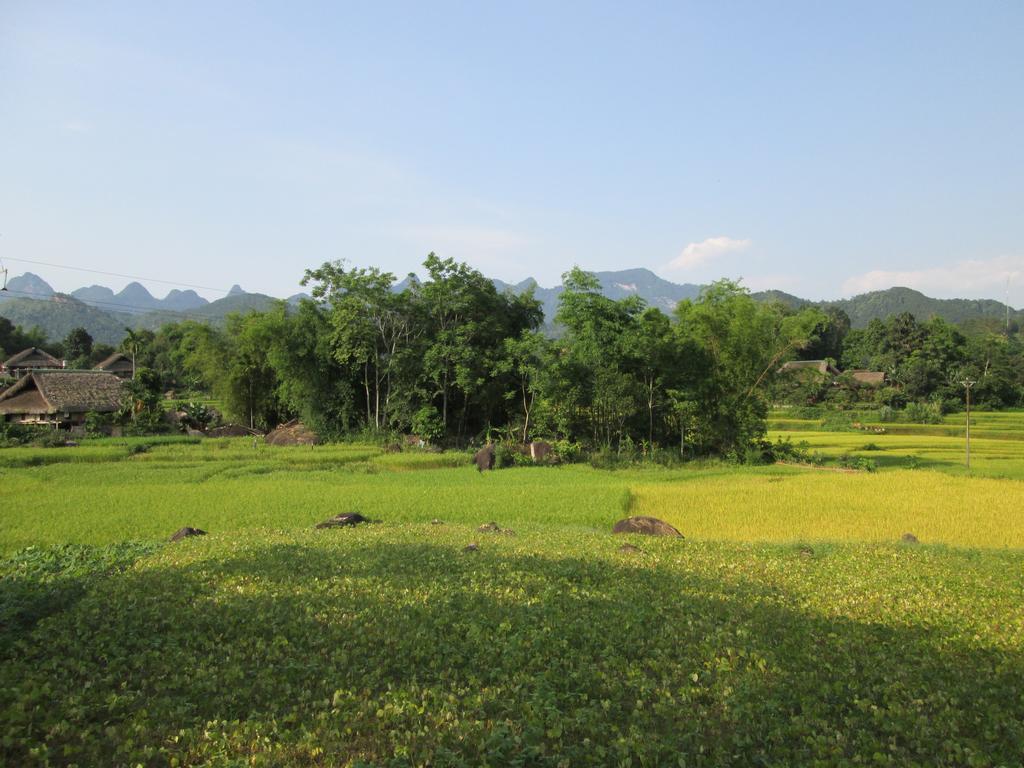 Dong Que Homestay-Tours-Motorbike, Car Rental, Hiking Ha Giang Exteriér fotografie