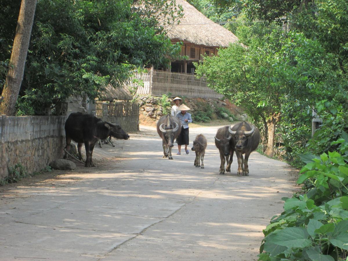 Dong Que Homestay-Tours-Motorbike, Car Rental, Hiking Ha Giang Exteriér fotografie